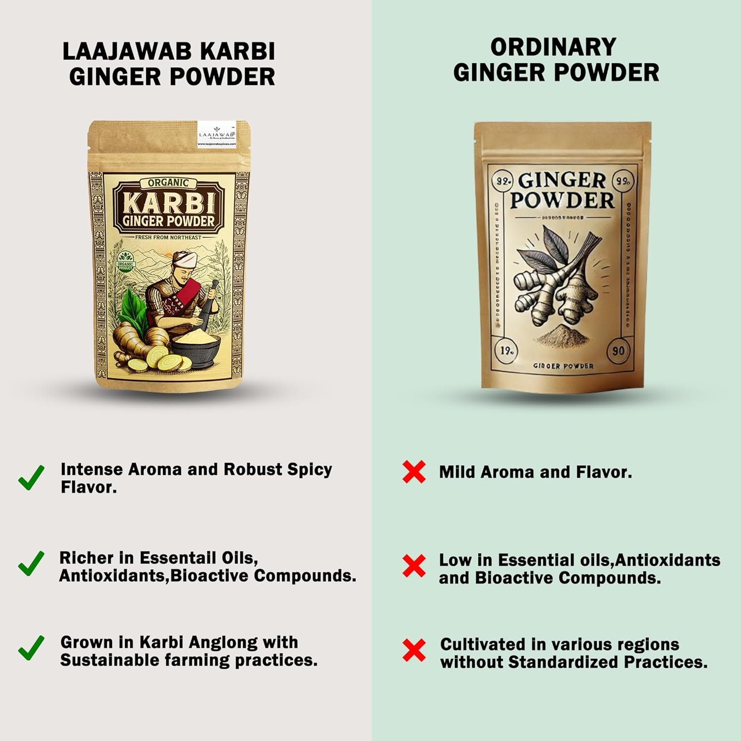 Gi Tagged Karbi Ginger Powder 100Gm